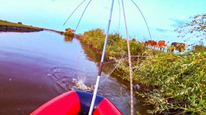 РЫБАЛКА НА ПАУК прямо ЗА ДЕРЕВНЕЙ, ГДЕ КОРОВАМ РАЗДОЛЬЕ! Рыбалка на паук подъёмник. Рыбалка 2025