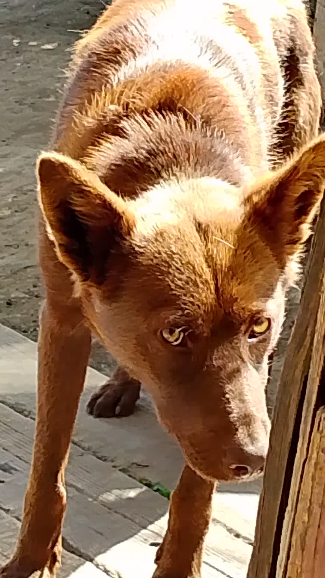 Уходишь, дождливый август!? смотреть онлайн