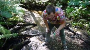 99 НОЧЕЙ В ЛЕСУ С КОТОМ И СОБАКОЙ | ЗАСТРЯЛИ В ДИКОМ ЛЕСУ