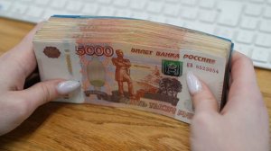 Незаконная перевозка наличных через границу в 2025 году побила рекорд