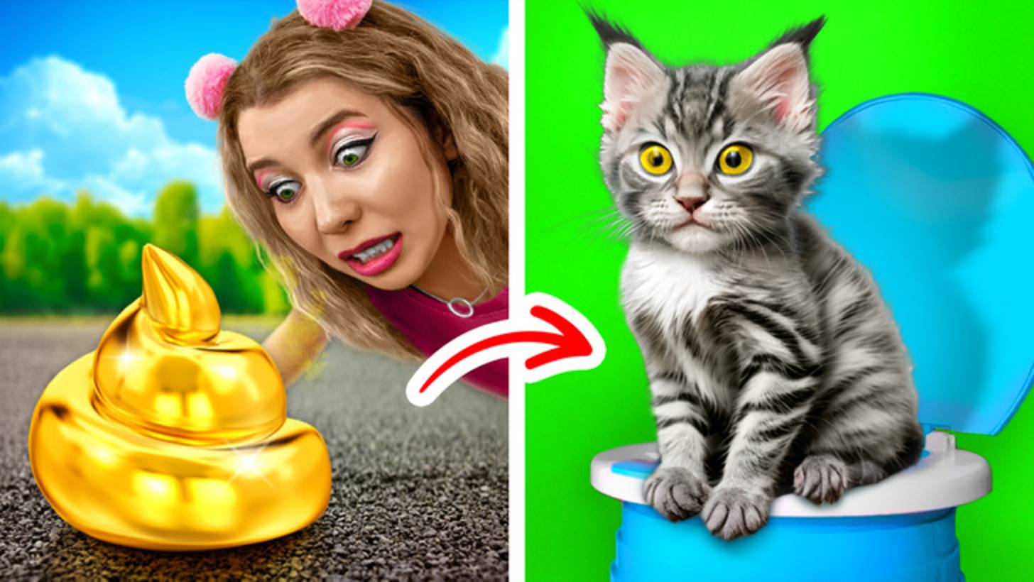 Спасли кошку от кариеса 🐾 Лучшие поделки и игрушки для котиков 🎲💖 смотреть онлайн