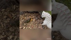 1 серия сериала «Держись»💗