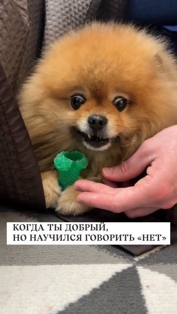 Когда ты добрый, но научился говорить "нет" смотреть онлайн