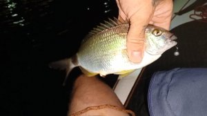 Ночная рыбалка в Чёрном море с сапборда. Рыбалка в Крыму Ялта.