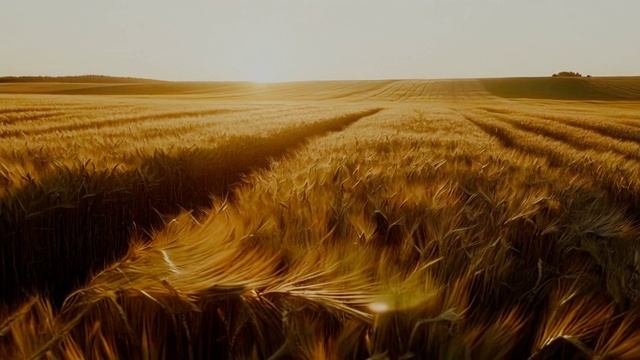 Гибель хазарского каганата смотреть онлайн