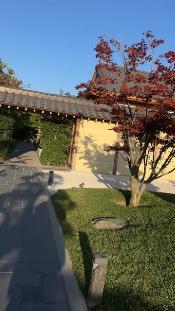 Главные ворота и вход в Японский сад парка Краснодар Галицкого #парккраснодар #паркгалицкого смотреть онлайн