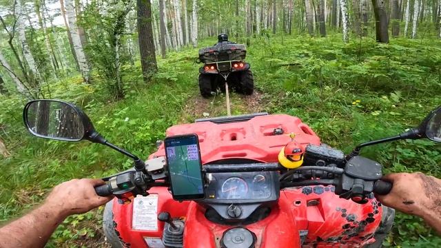 вскипятил квадрик в лесу