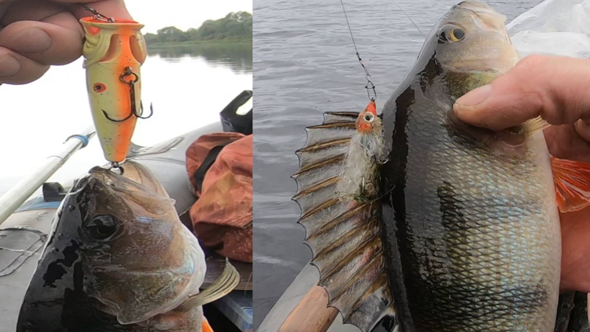 Окунь на стример с поппером и стример на отводном поводке. смотреть онлайн