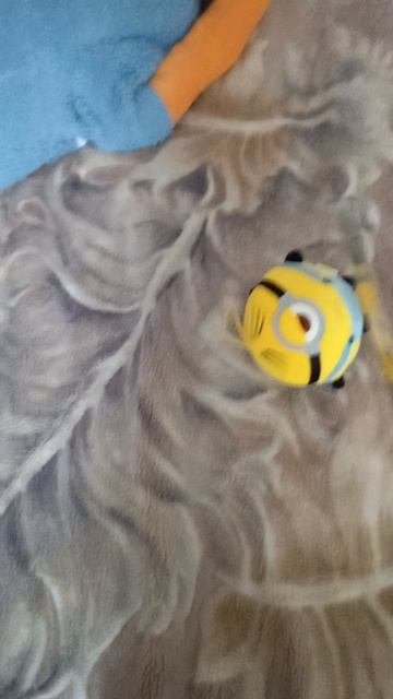 не каких меньёнов