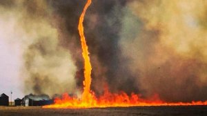 Огненные смерчи и неподконтрольные природные пожары сжигают Португалию и Испанию. Есть погибшие