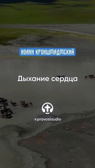 052 Дыхание сердца — Иоанн Кронштадтский #Бог #душа #вера #молитва #сердце #любовь #жизнь #мудрость смотреть онлайн
