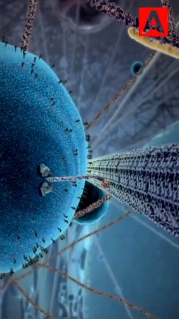 Просто о сложном