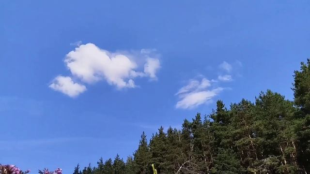 Движение высококучевых волнистых и лентикулярных облаков, похожих на НЛО смотреть онлайн