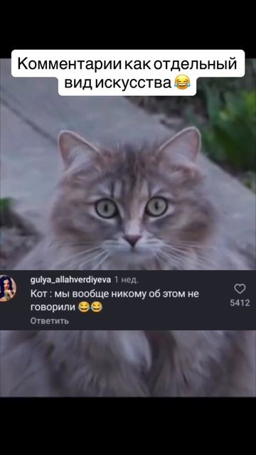 Любимая рубрика ❤️❤️❤️Комментарии как отдельный вид искусства 😂😂😂.mp4 смотреть онлайн