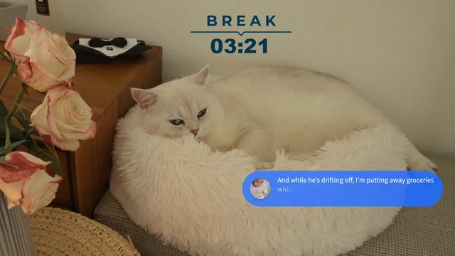 3 часа Mountain View StudyWithMe ｜ Nature Sounds ｜Pomodoro 25+5 Focus Ambience