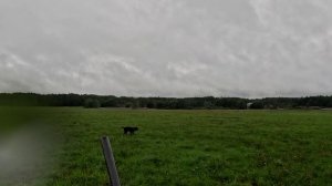 бек1_180825
