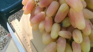 Преображение на 18.08.25 г