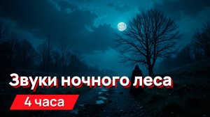 Звуки для соседей - звуки ночного леса