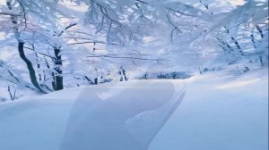 А.Туровская, А.Добровольский - Зима