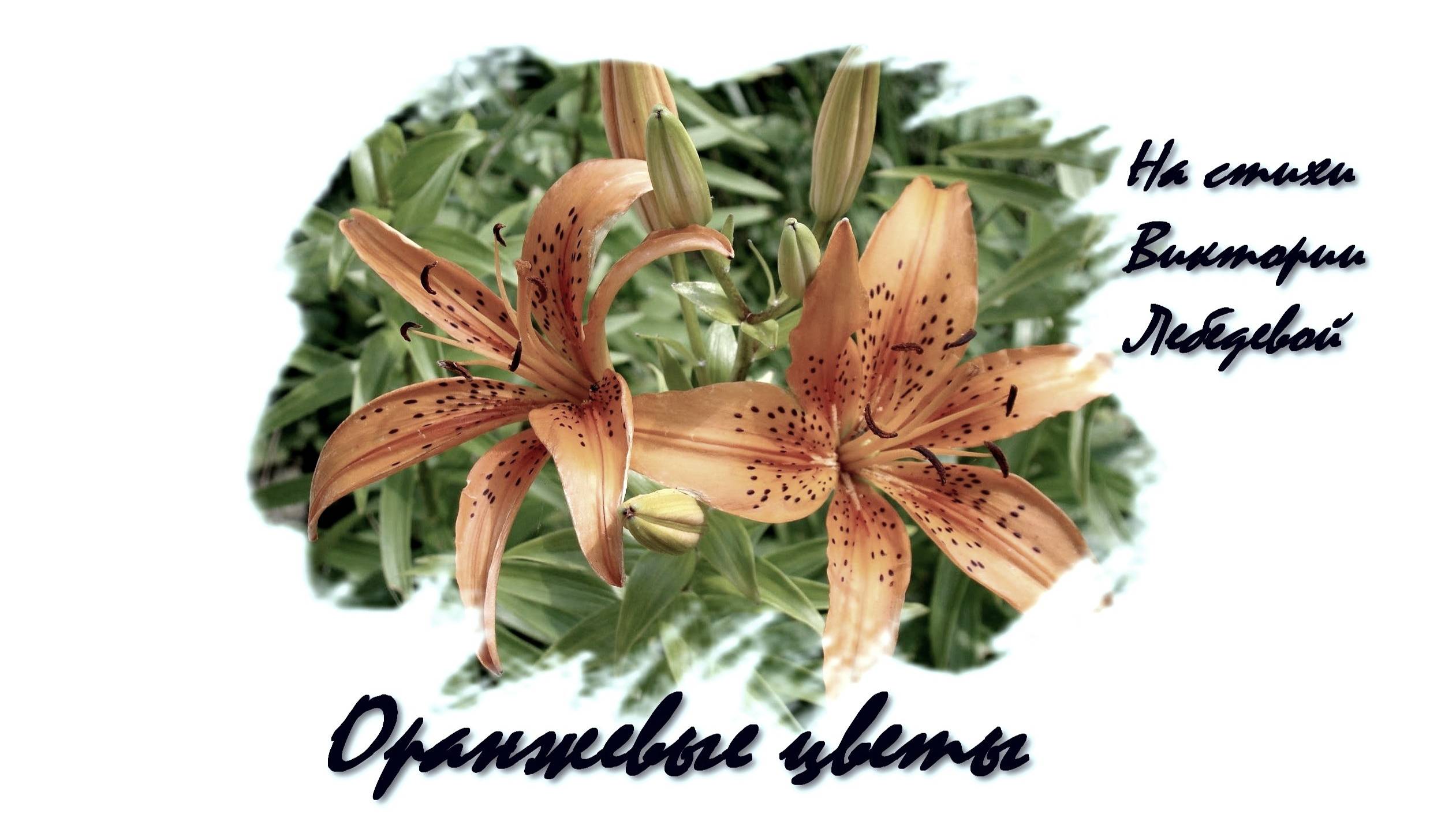 Культурно посидим