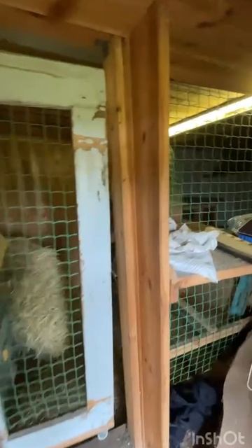 Бакова 1 смотреть онлайн