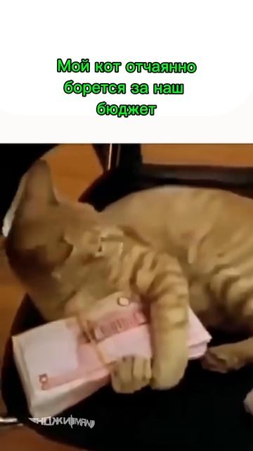 На чьей стороне вы? 😂