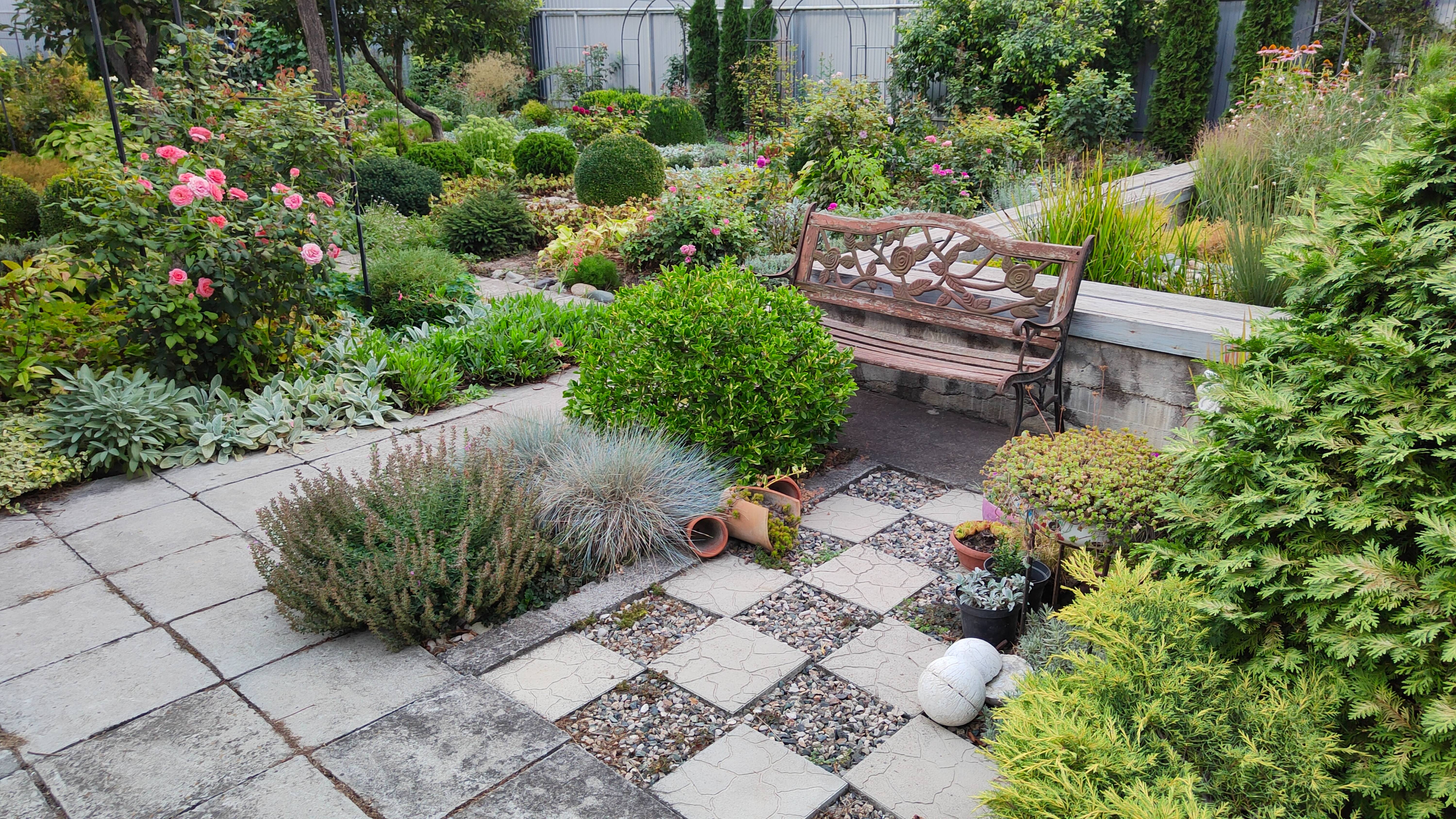 Планов громадьё! Про обновление и переделку круговой площадки в саду. 8-13 августа 2025 г. смотреть онлайн