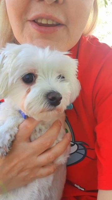 В гляделки играем.