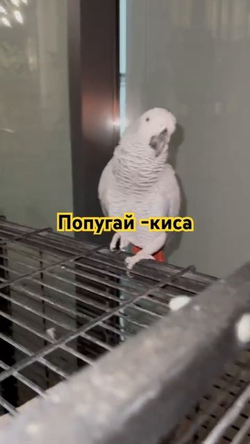 10 марта 2024 г.