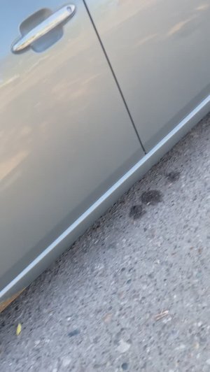 chery b14