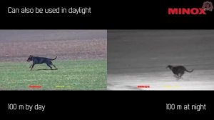 MINOX NVD 650 недорогой ПНВ монокуляр с записью HD видео