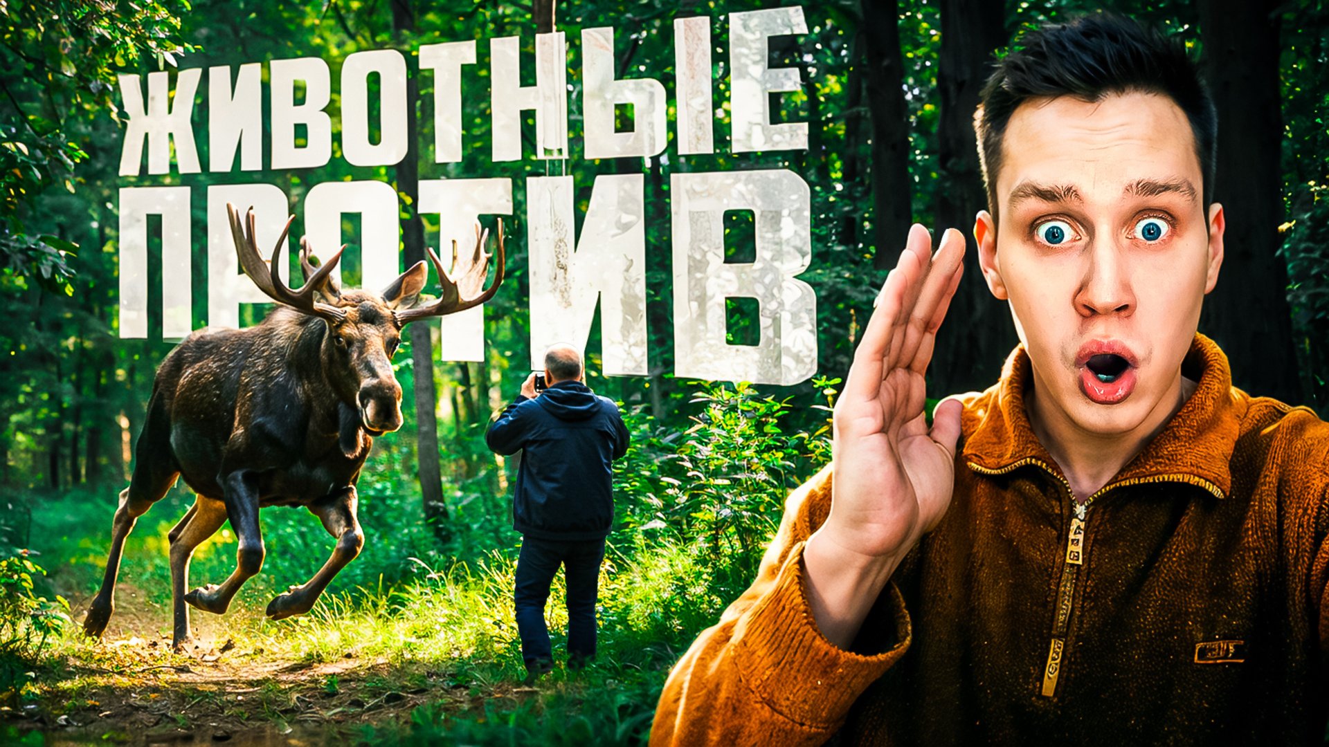 Случаи, когда животные показали, что с ними лучше не связываться смотреть онлайн