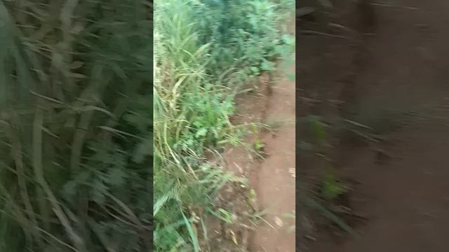 5 сезон 3 серия улица смотреть онлайн