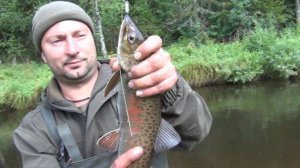 Тайга рыба ТАЙМЕНЬ или ЛЕНОК Отпускать Ловим Рыбалка 2025 Жизнь ОТШЕЛЬНИКА Сухопит 5авг Охота Сибирь