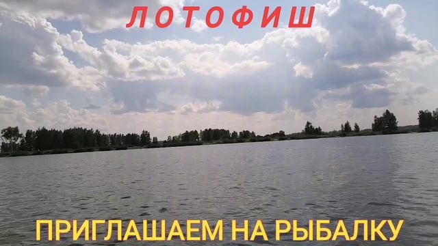 Lotofish ЛОтоФиш