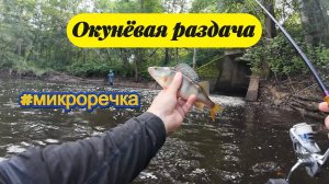 #мормышинг | Микро речка | Дубасим окуней |