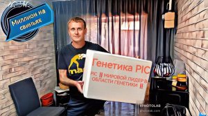 Новая генетика на нашем хозяйстве! Мирового уровня