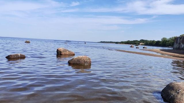 Блудливые чайки без навигатора