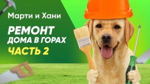 РЕМОНТ ДОМА МЕЧТЫ В ГОРАХ / ЧАСТЬ 2 / СПИМ В МАШИНАХ 3 НЕДЕЛИ / ЛАБРАДОРЫ ЗАБОЛЕЛИ? / РОЗЕТКИ DONEL