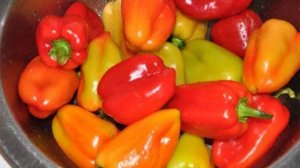 Фаршированный перец