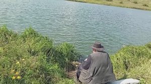 ШУСТРЫЕ МЫ, ВЕЗДЕ ВСЁ УСПЕЛИ