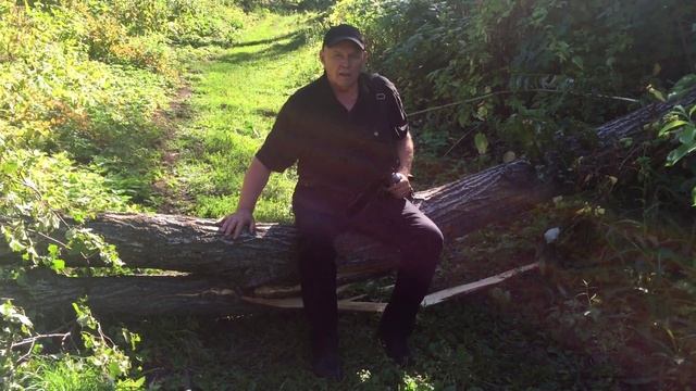 Виктор Евграфов о восхождении на Молодецкий курган смотреть онлайн
