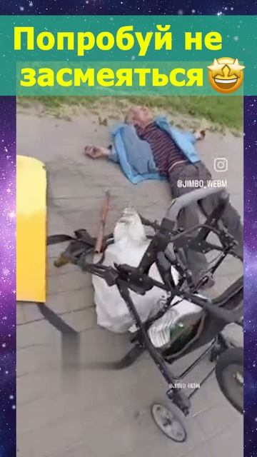 Какой красивый котик😻 смотреть онлайн