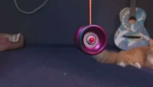 Учу трюки с йо йо за 24 часа