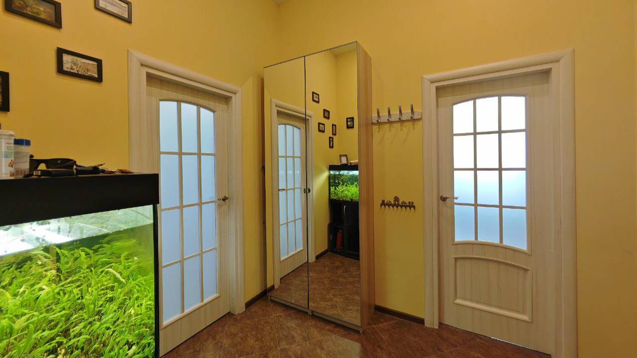 Видео для рекламы санкт-петербургское шоссе