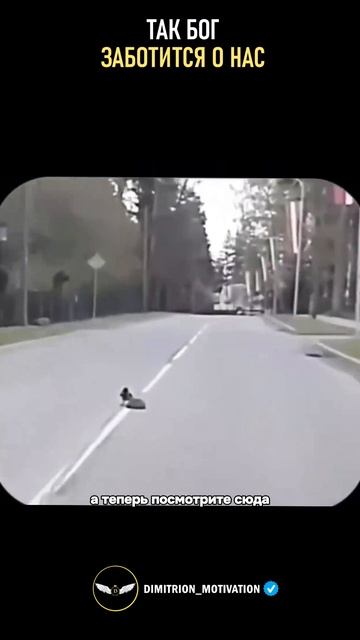 Так бог заботиться о нас #саморазвитие смотреть онлайн