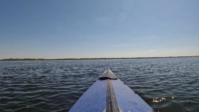 17 августа. Отдых на Волге.