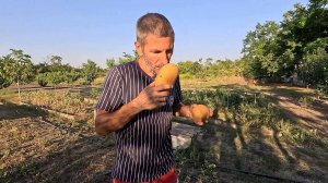 Месяц спустя