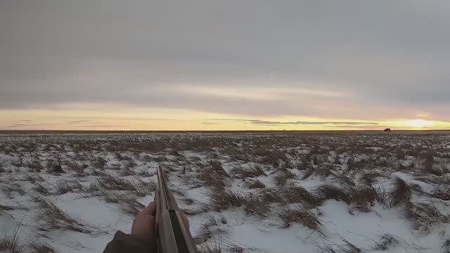 Охота на зайца. Лучшие моменты сезона 2024 - 2025г. смотреть онлайн