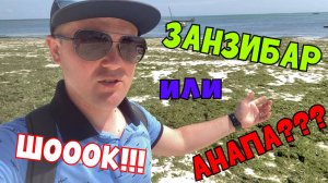 Занзибар-2025. Мы в шоке!!! Зелёные пляжи Нунгви! Анапа отдыхает! Выпуск 7